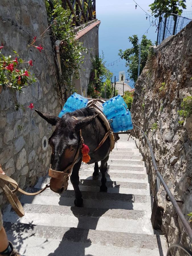 Estate4Home - Goat Path Позитано Экстерьер фото